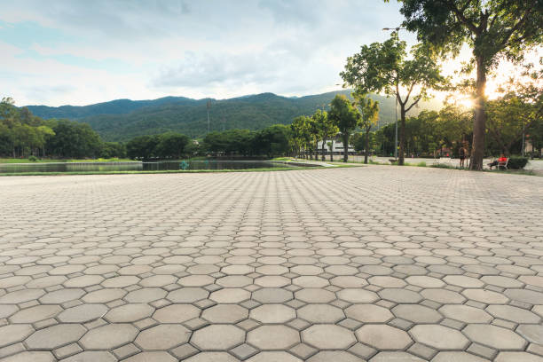 Best Interlocking Driveway Pavers  in Pantego, TX